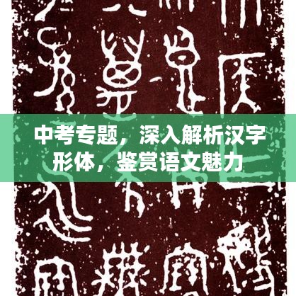中考专题，深入解析汉字形体，鉴赏语文魅力