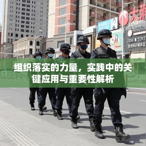 组织落实的力量，实践中的关键应用与重要性解析