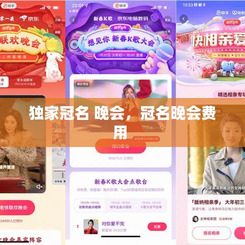 独家冠名 晚会，冠名晚会费用 