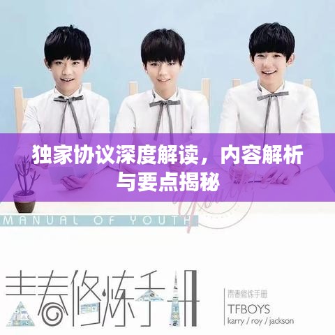 独家协议深度解读，内容解析与要点揭秘