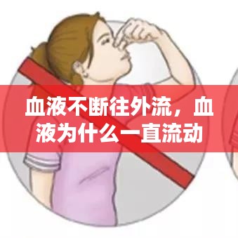 血液不断往外流，血液为什么一直流动 