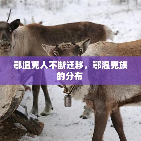 鄂温克人不断迁移，鄂温克族的分布 