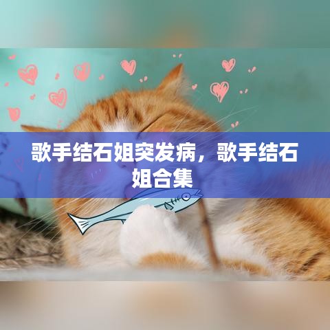 歌手结石姐突发病，歌手结石姐合集 
