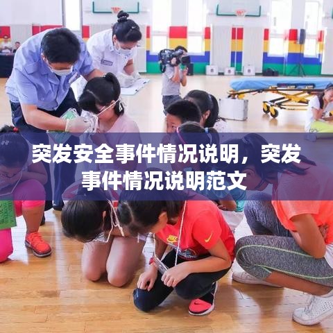 突发安全事件情况说明，突发事件情况说明范文 