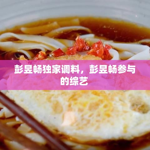 彭昱畅独家调料，彭昱畅参与的综艺 