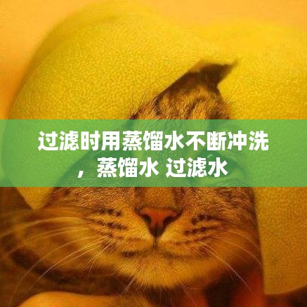 过滤时用蒸馏水不断冲洗，蒸馏水 过滤水 