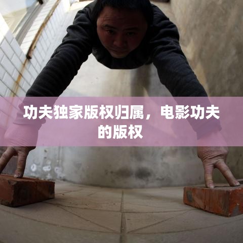 功夫独家版权归属，电影功夫的版权 