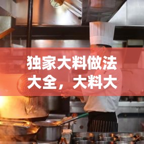 独家大料做法大全，大料大全 图解 