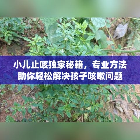 小儿止咳独家秘籍，专业方法助你轻松解决孩子咳嗽问题
