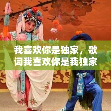 我喜欢你是独家，歌词我喜欢你是我独家 