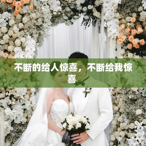 不断的给人惊喜，不断给我惊喜 