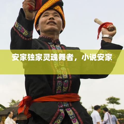 安家独家灵魂舞者，小说安家 