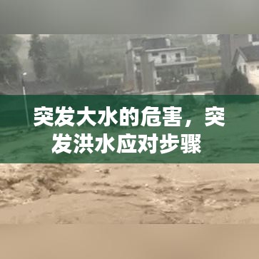 突发大水的危害，突发洪水应对步骤 