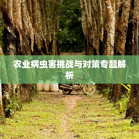 农业病虫害挑战与对策专题解析