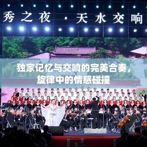 独家记忆与交响的完美合奏，旋律中的情感碰撞