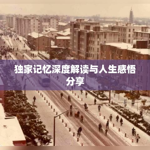独家记忆深度解读与人生感悟分享