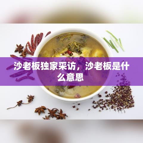 沙老板独家采访，沙老板是什么意思 