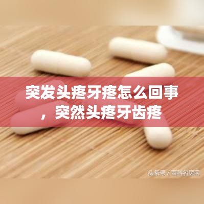 范张鸡黍 第2页