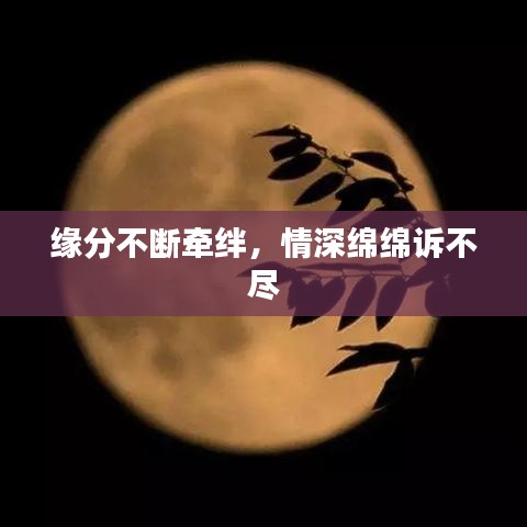 缘分不断牵绊，情深绵绵诉不尽