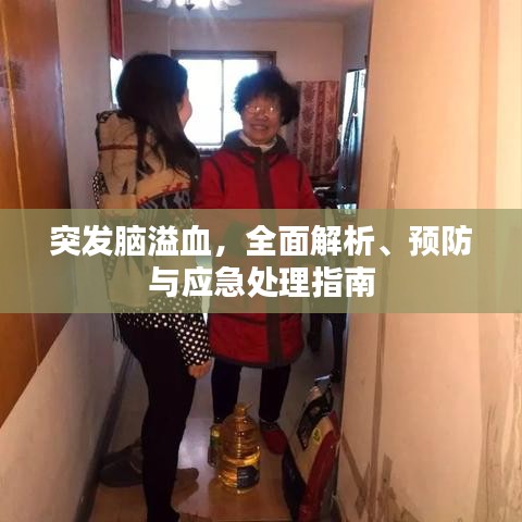 突发脑溢血，全面解析、预防与应急处理指南
