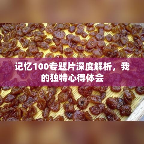 记忆100专题片深度解析，我的独特心得体会