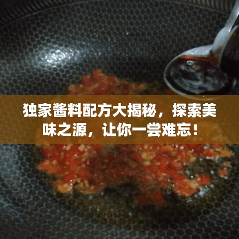 独家酱料配方大揭秘，探索美味之源，让你一尝难忘！