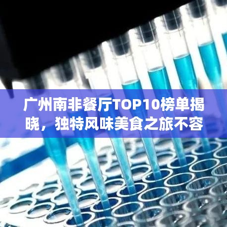 广州南非餐厅TOP10榜单揭晓，独特风味美食之旅不容错过