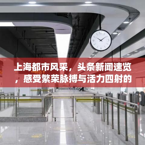上海都市风采，头条新闻速览，感受繁荣脉搏与活力四射的魅力