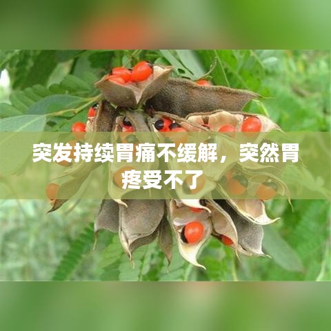 突发持续胃痛不缓解，突然胃疼受不了 