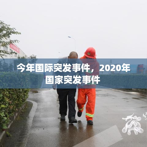 今年国际突发事件，2020年国家突发事件 