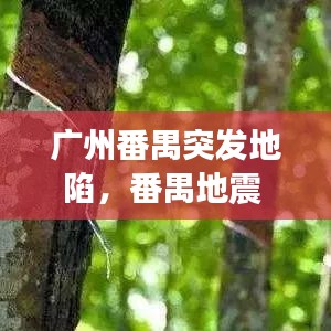 广州番禺突发地陷，番禺地震 
