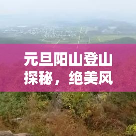 元旦阳山登山探秘，绝美风光等你来挑战！
