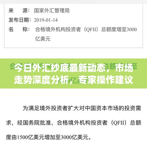 今日外汇抄底最新动态，市场走势深度分析，专家操作建议大揭秘