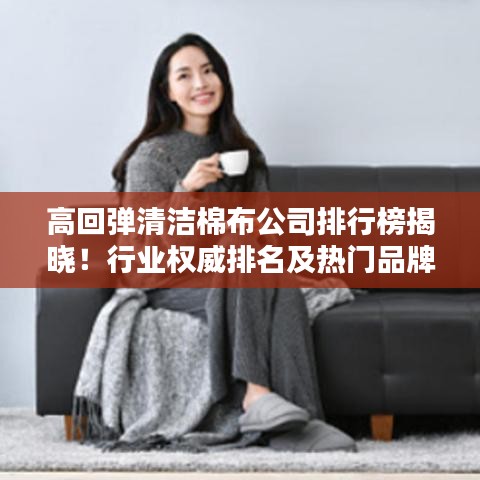 高回弹清洁棉布公司排行榜揭晓！行业权威排名及热门品牌一网打尽