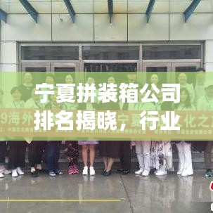 宁夏拼装箱公司排名揭晓，行业概述与竞争格局分析