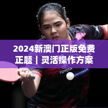 2024新澳门正版免费正题｜灵活操作方案设计