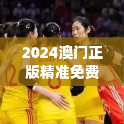 2024澳门正版精准免费｜统计分析解释定义