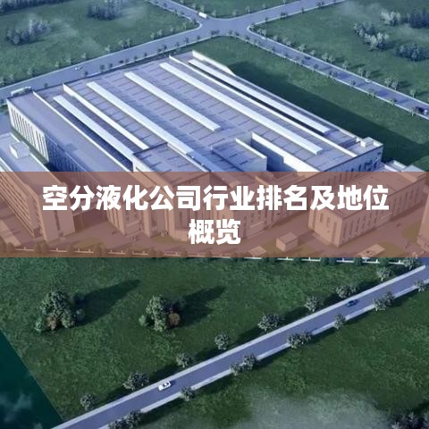 空分液化公司行业排名及地位概览
