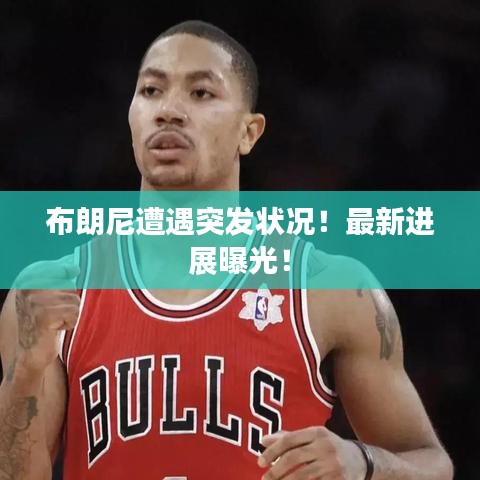 水浄鹅飞 第2页