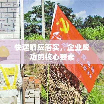 快速响应落实，企业成功的核心要素