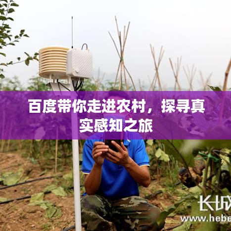 百度带你走进农村，探寻真实感知之旅