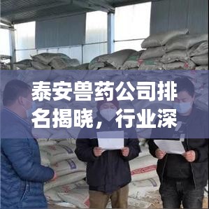 泰安兽药公司排名揭晓，行业深度分析与前景展望