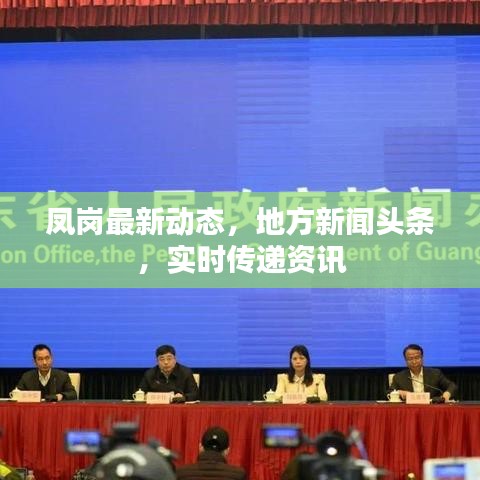凤岗最新动态，地方新闻头条，实时传递资讯