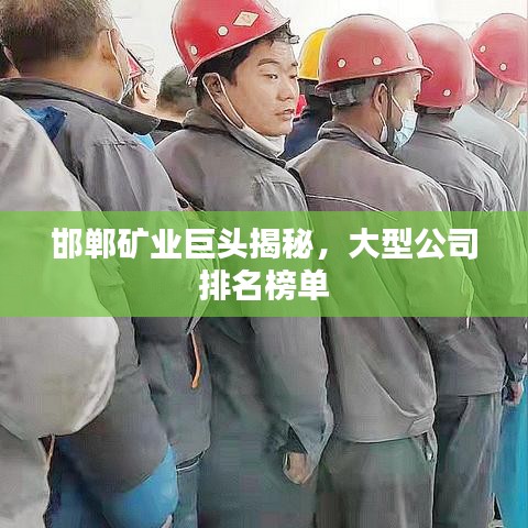 邯郸矿业巨头揭秘，大型公司排名榜单