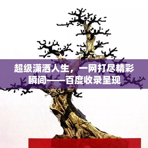 超级潇洒人生，一网打尽精彩瞬间——百度收录呈现