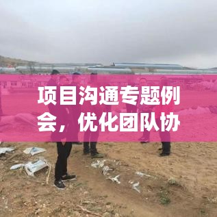 项目沟通专题例会，优化团队协作，提升效率秘籍大揭秘！