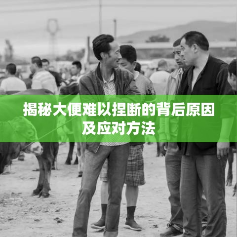 草草了事 第2页