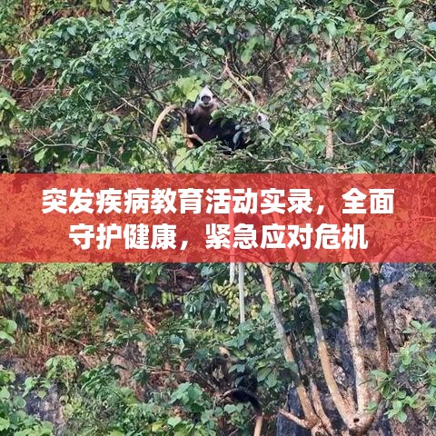突发疾病教育活动实录，全面守护健康，紧急应对危机