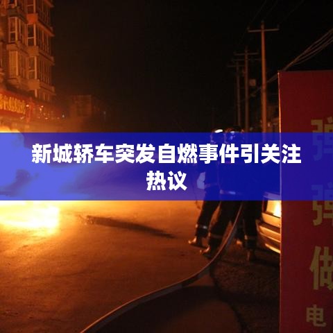 新城轿车突发自燃事件引关注热议