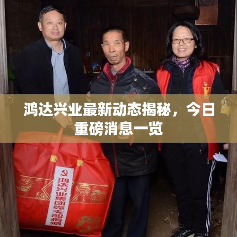 鸿达兴业最新动态揭秘，今日重磅消息一览